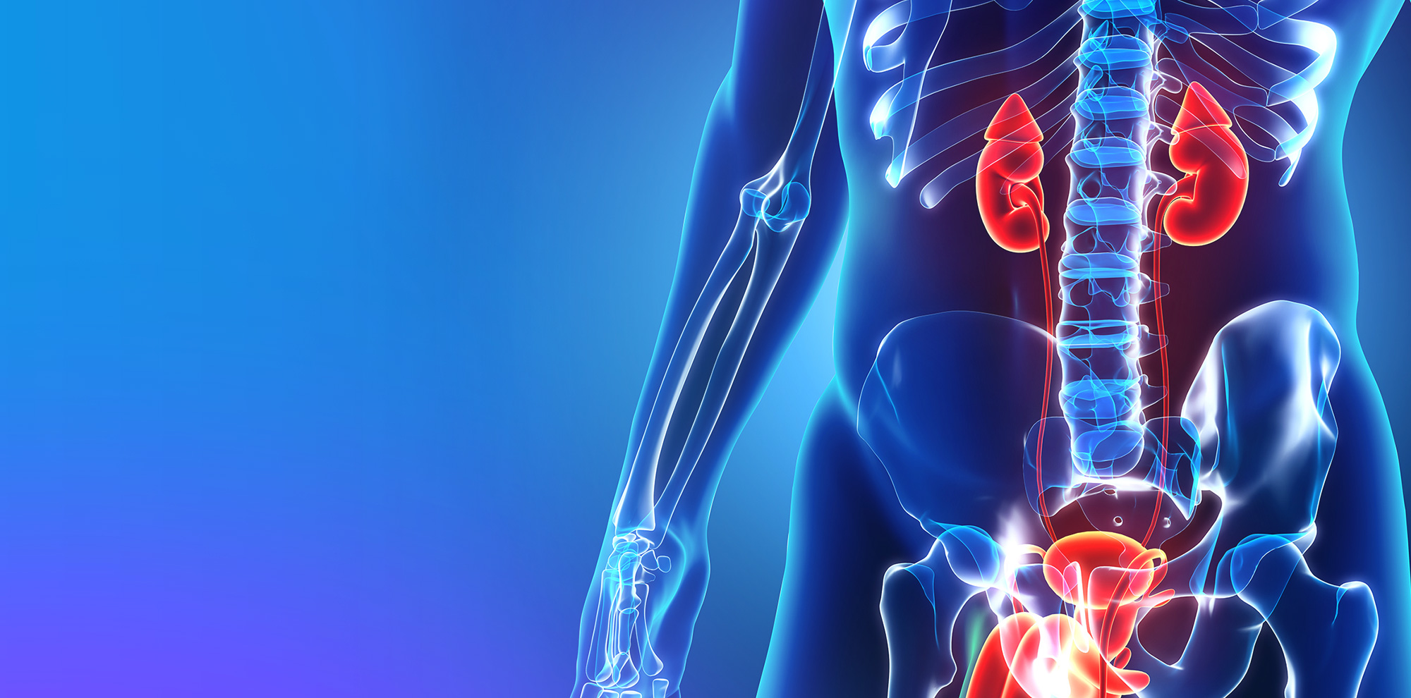 Urologia